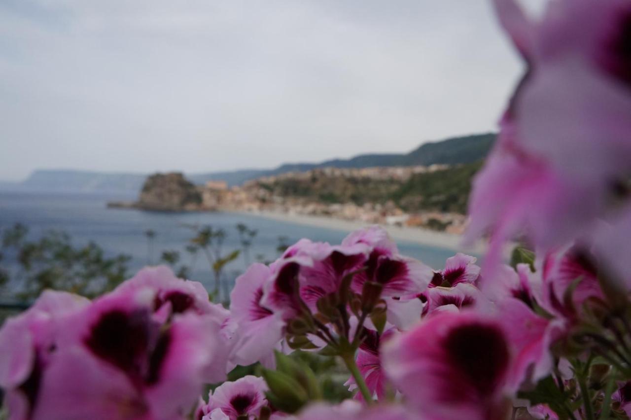 Holiday home Morselli